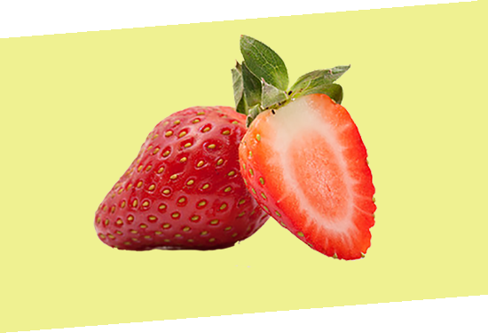 promotion-banner4