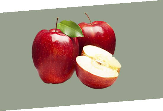 promotion-banner3